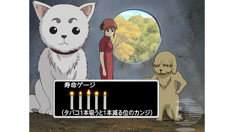 猫好きと犬好きは相容れない